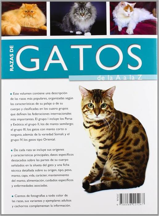 Gato asiático: descripción y carácter de la raza, su contenido