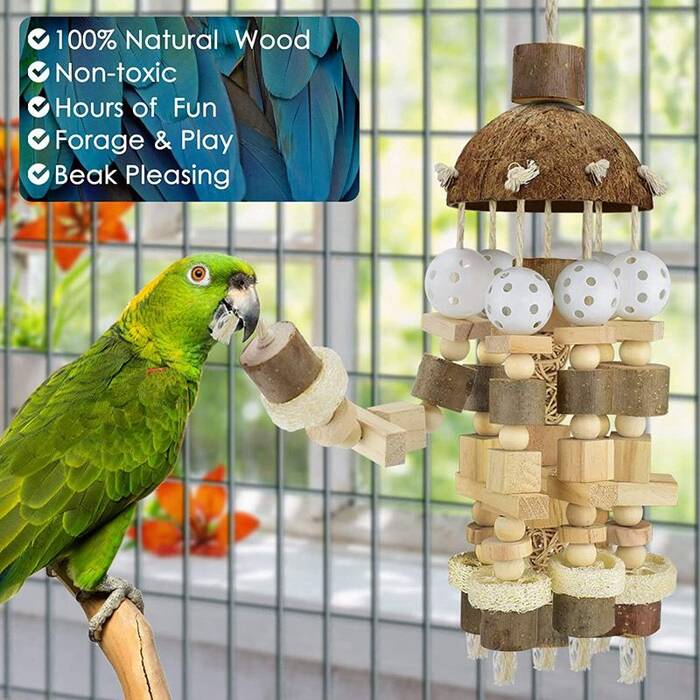 Tipos y elección de juguetes para loros
