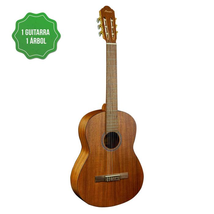 Todo sobre las guitarras occidentales