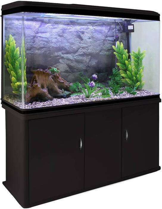 Acuarios para 30 litros: tamaños, número de peces y su elección