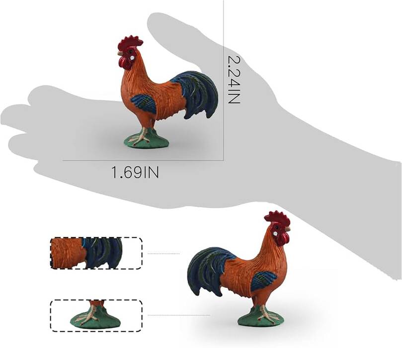 Acuarios para gallitos: selección, equipamiento y cuidados