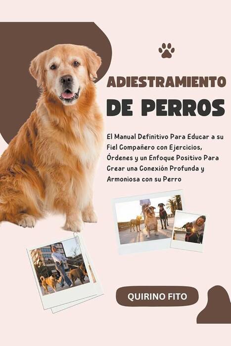 Adiestramiento de cachorros y perros adultos: peculiaridades y órdenes básicas