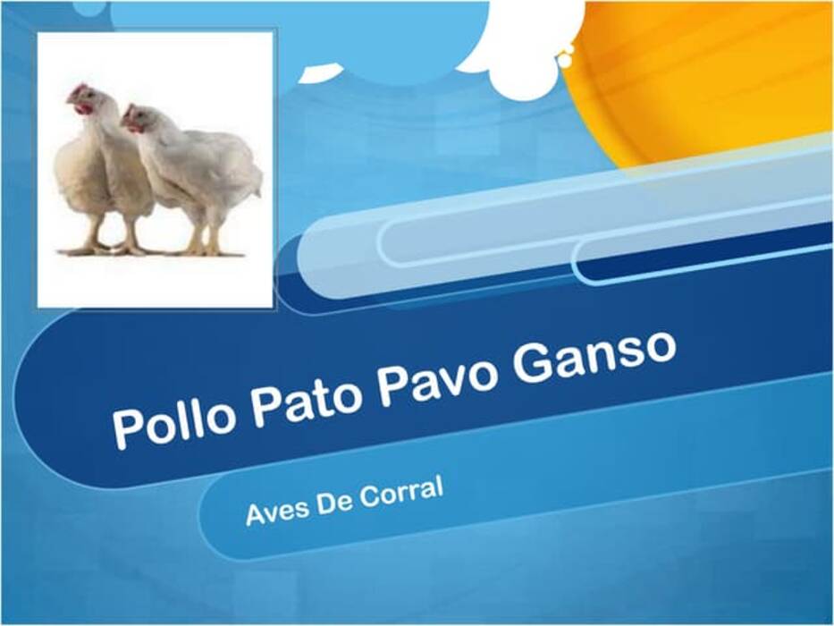 Aves de corral: un resumen de las especies más populares