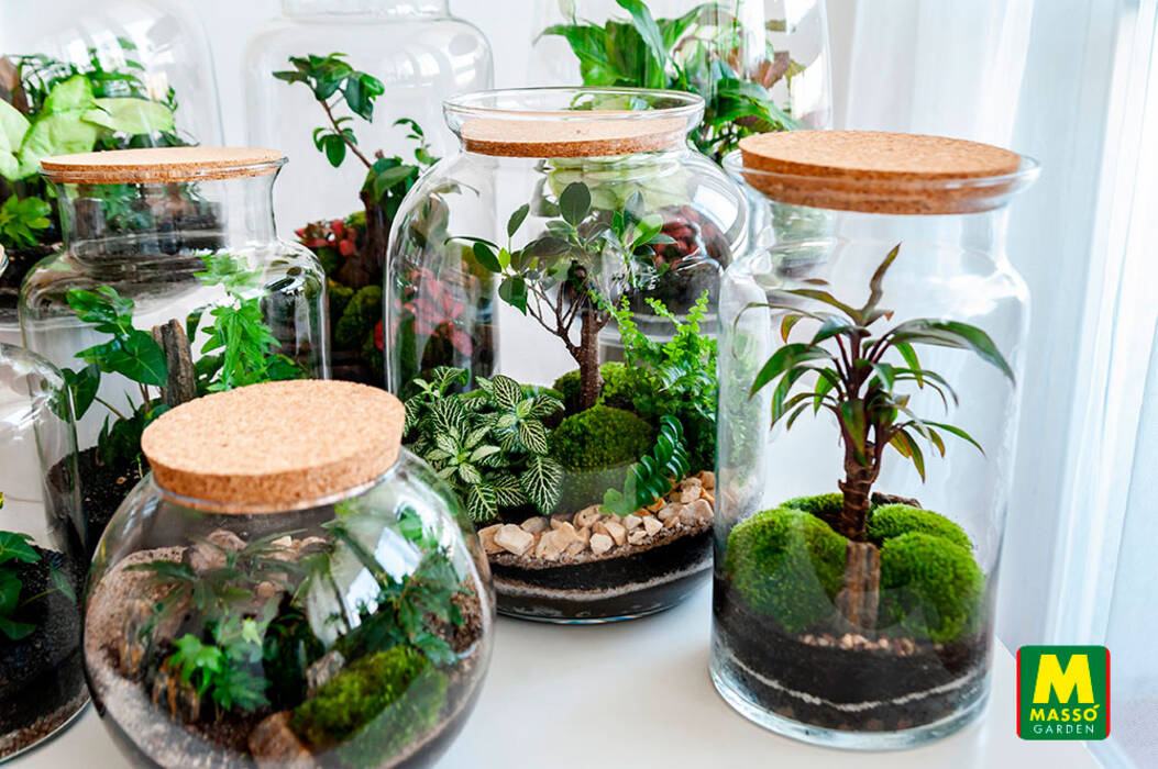 Cómo elegir y equipar un terrario para caracoles?