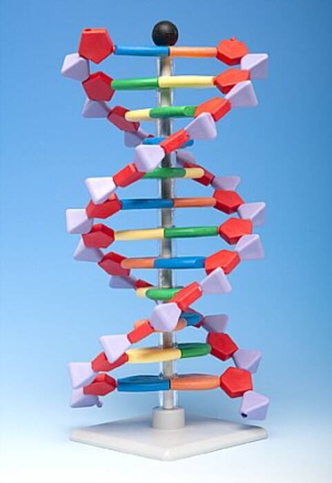 Cómo hacer un modelo molecular con plastilina?