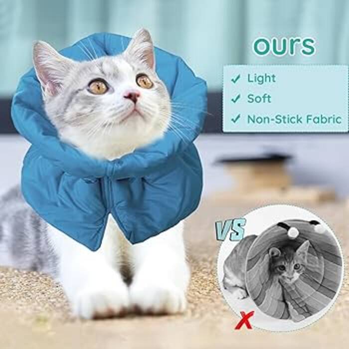 Cómo poner la manta a un gato y atarla correctamente?