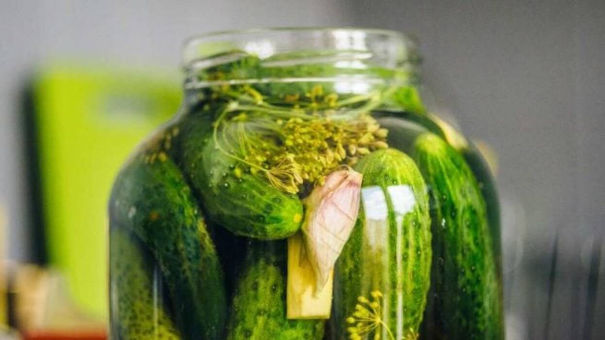 Cómo conservar los pepinos encurtidos?