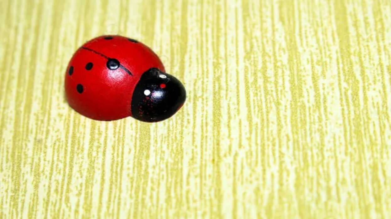Cómo hacer una mariquita con plastilina?