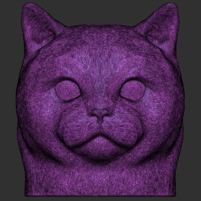 Gatos y gatos púrpura británicos: descripción y lista de apodos