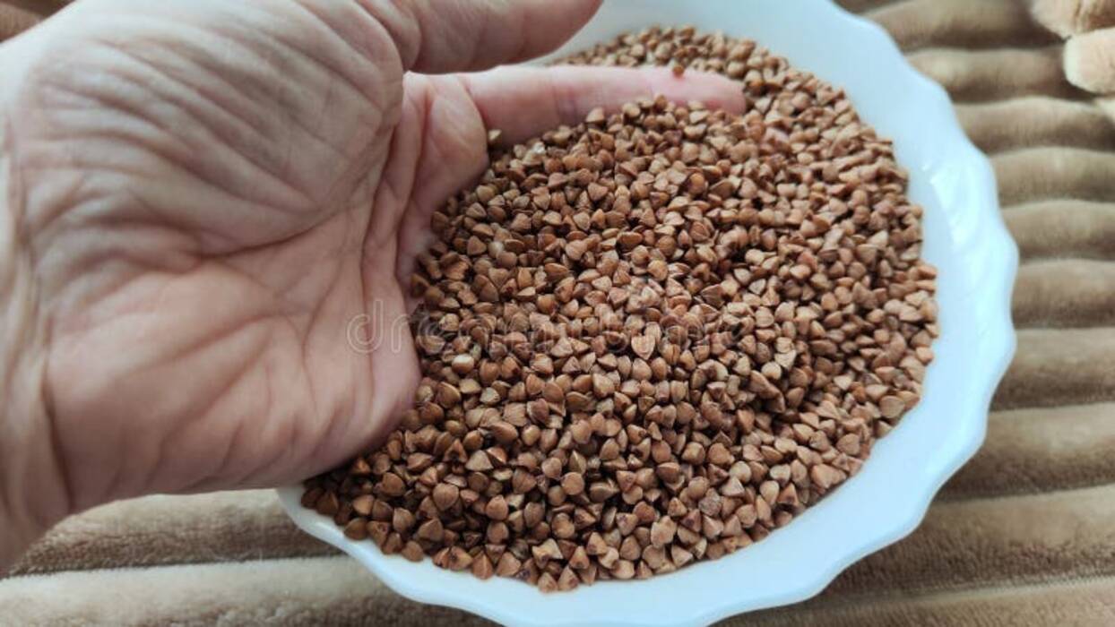 Manualidades con setas, grañones y semillas