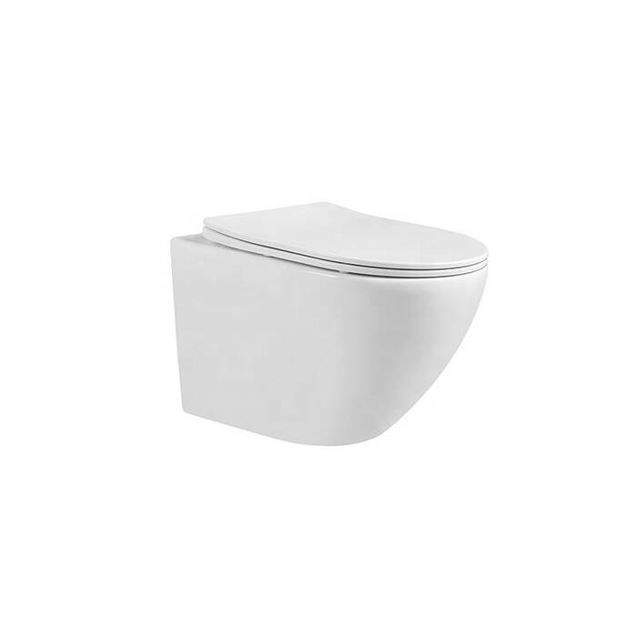 Tazas de inodoro doradas: cómo seleccionar y encajar competentemente en el interior?