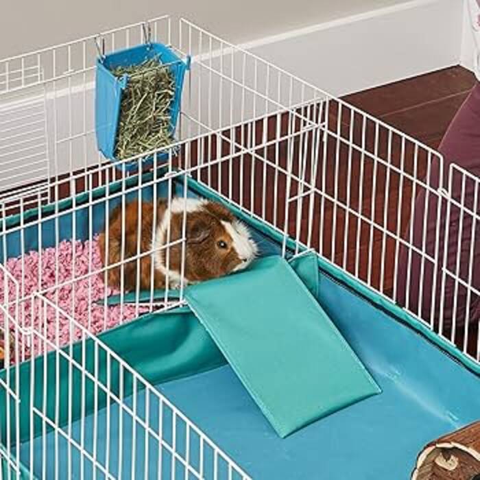 Una casa para una cobaya: tipos y reglas de elección