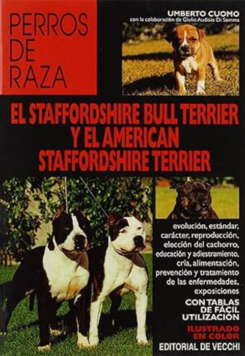 Cómo educar y adiestrar a un Staffordshire terrier?