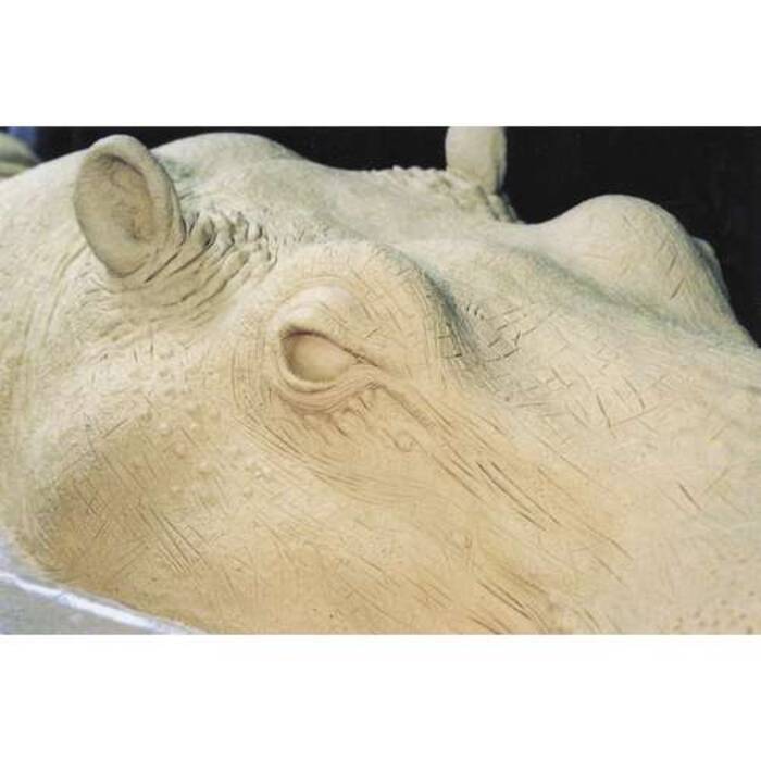 Cómo moldear un hipopótamo con plastilina?