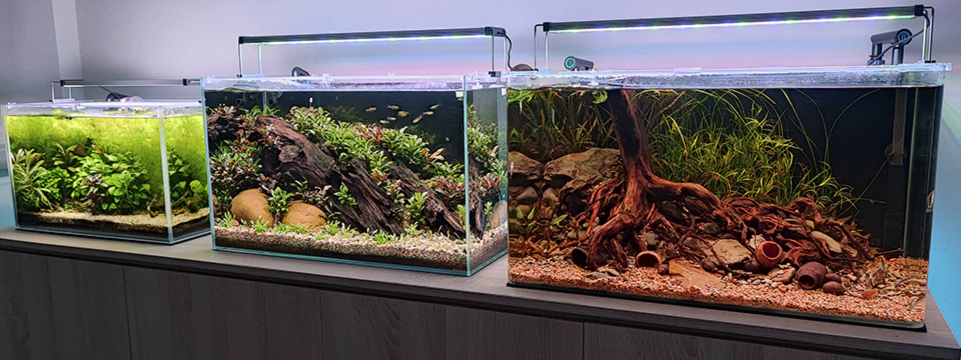 Fabricar un compresor de acuario con tus propias manos