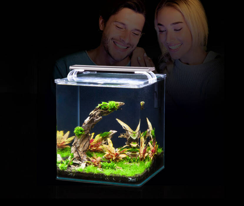 Acuario artificial: tipos y aplicación