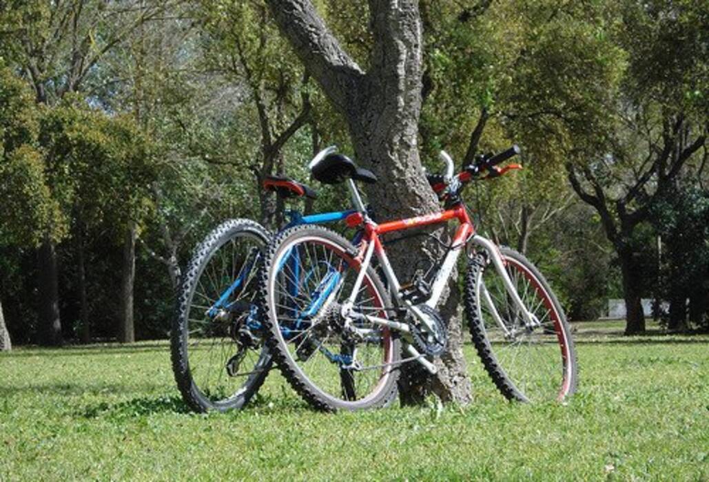 Carnet de ciclista: quién lo necesita y cómo conseguirlo?