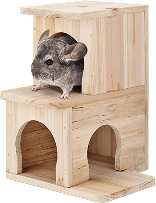 Cómo domesticar una chinchilla a sus manos?