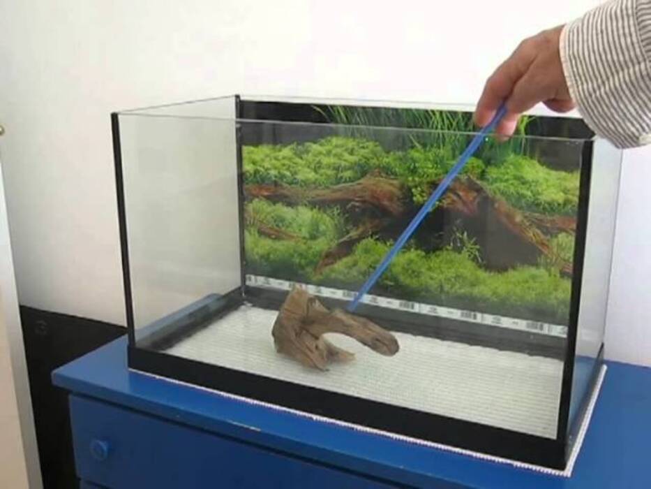 Cómo pegar un fondo en un acuario?