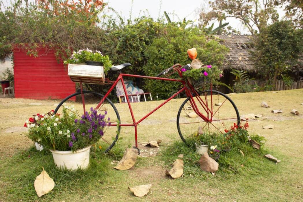 Ideas para el uso de una vieja bicicleta en el diseño del jardín