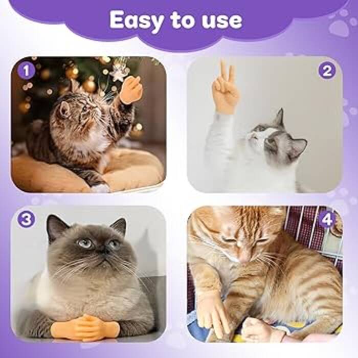 Los dedos en los gatos: su función y su número