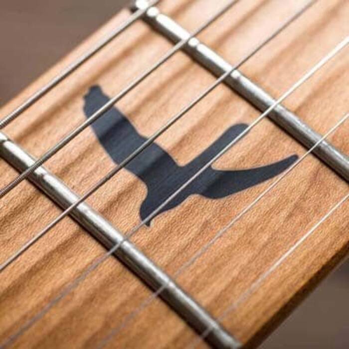 ¿Para qué sirven las marcas (puntos) en el diapasón de una guitarra??