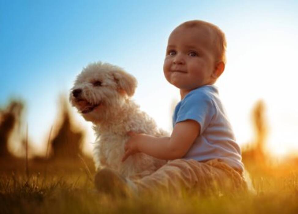 Cachorros recién nacidos: características del desarrollo, determinación del sexo y matices de los cuidados