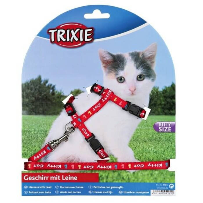 Cómo poner un arnés a un gato?
