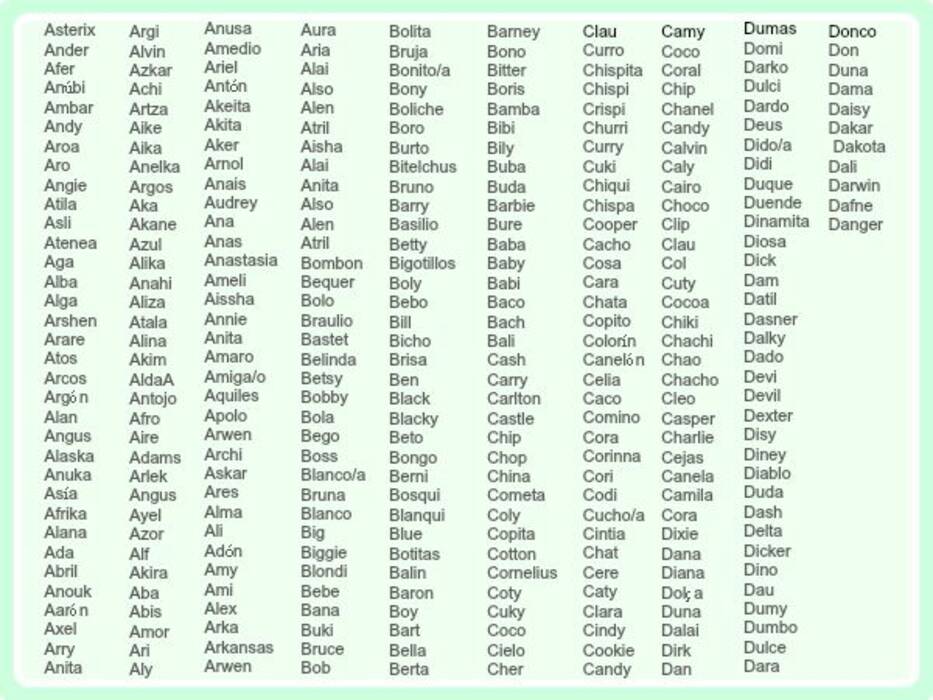 Nombres originales y bonitos para hamsters-niñas