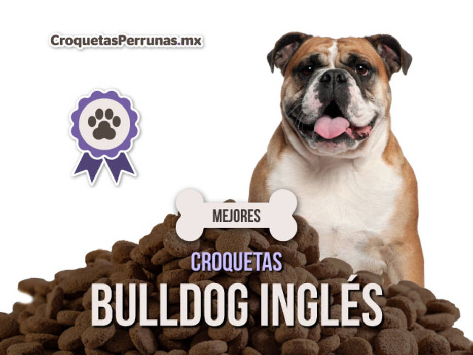 Pros y contras de la raza Bulldog Francés