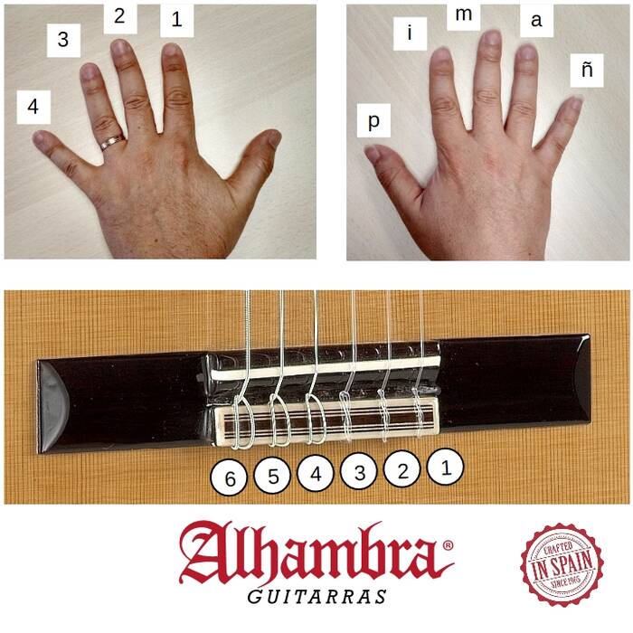 Cómo hacer un soporte para guitarra con sus propias manos?