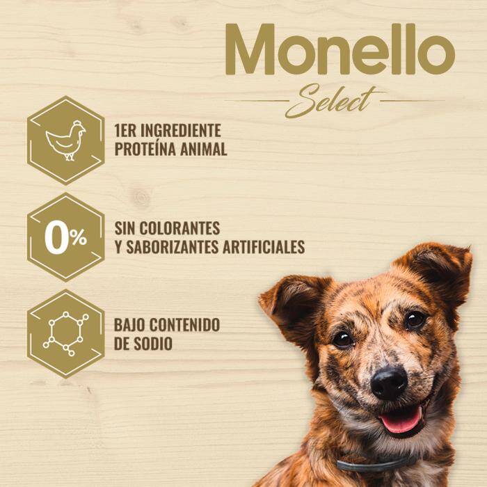 Descripción de las razas de perros que no huelen a mierda de perro