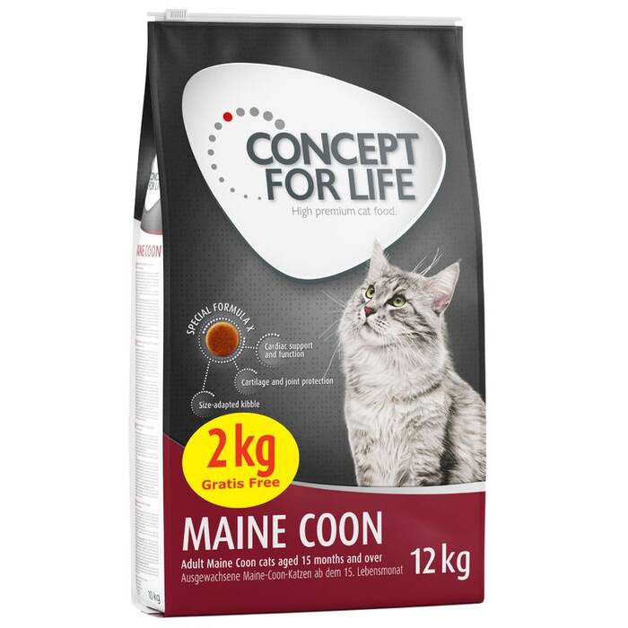 Descripción y mantenimiento de los Maine Coon grises