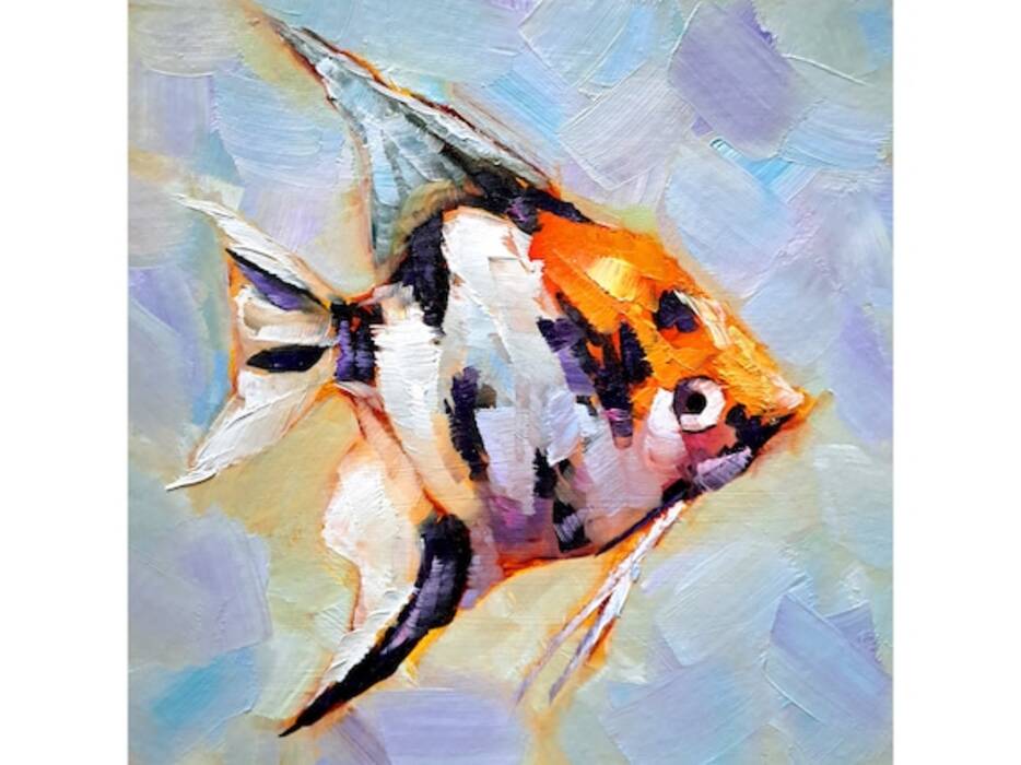 Koi scalaria
