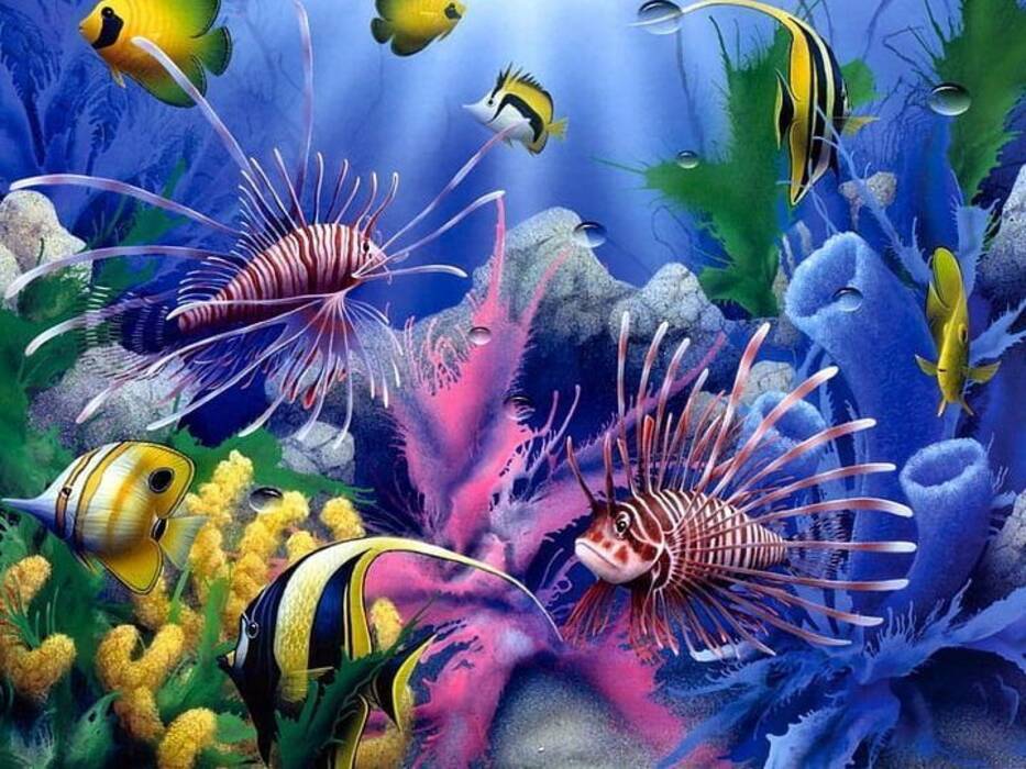 ¿Es necesario apagar la luz del acuario por la noche y de qué depende??