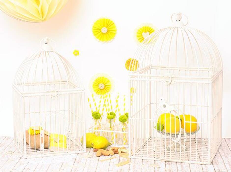 Formas de hacer una jaula para pájaros con sus propias manos