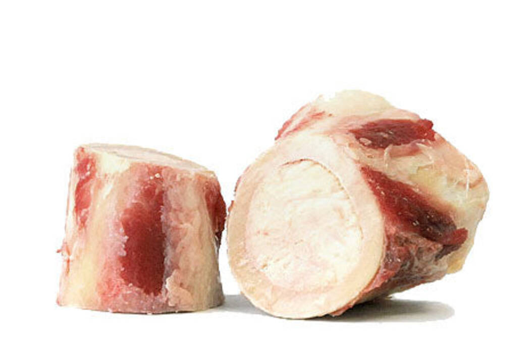 Harina de carne y huesos para perros: cómo almacenarla y utilizarla?