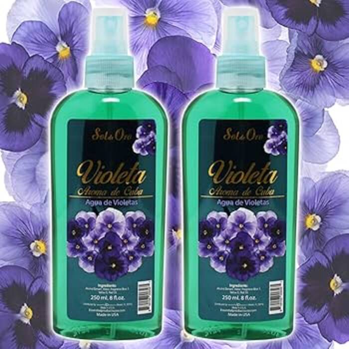 Las violetas en casa son buenas o malas?
