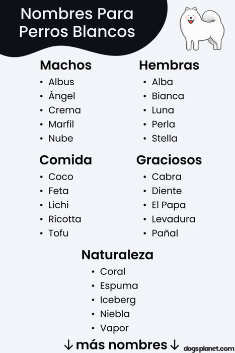 Lista de apodos para una chica Labrador