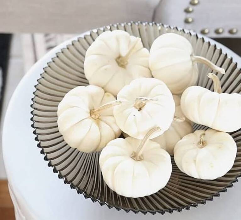 Manualidades con semillas de calabaza