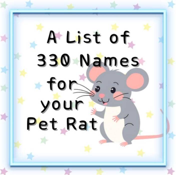 Nombres para ratas macho