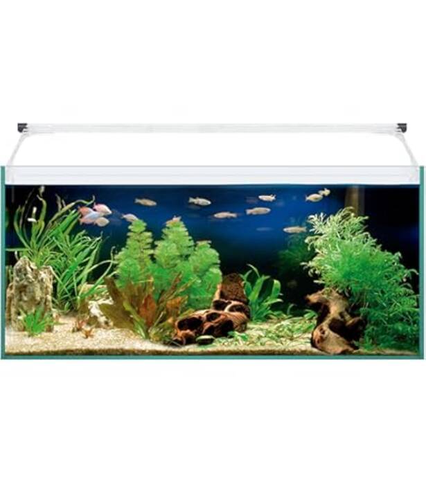 Diseño de un acuario con una capacidad de 200 litros