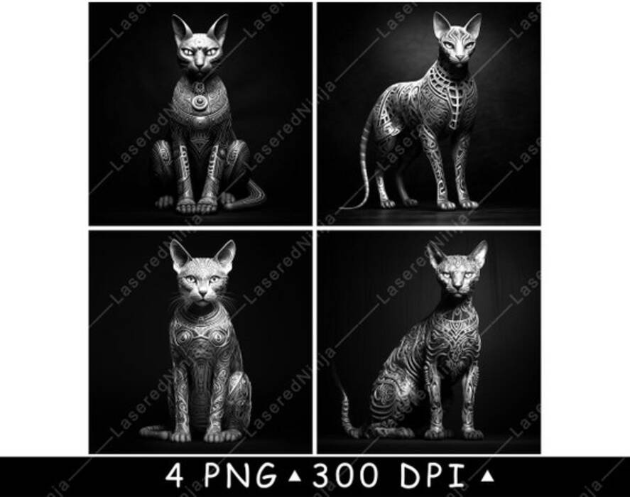 Gatos calvos: caracterización, tipos, normas de cuidado