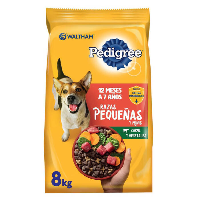 Pedigrí del perro: cómo confeccionarlo y leerlo?