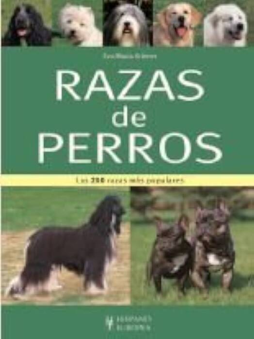 Perros peludos: una visión general de las razas