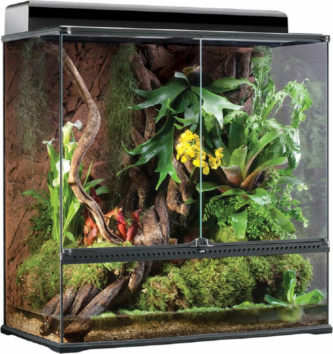 Qué es un terrario y cómo equiparlo?