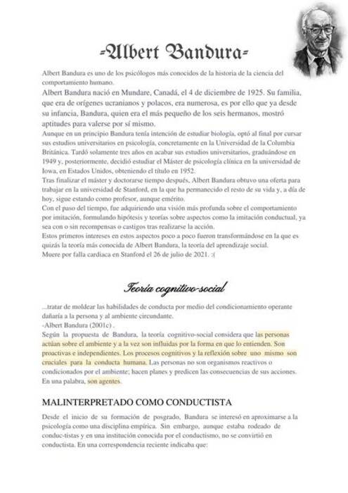 Qué es una bandura y qué aspecto tiene?