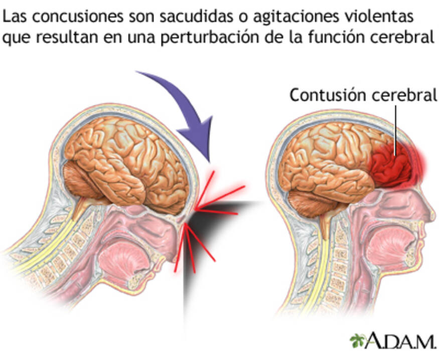 Qué es la domra y cómo se toca?