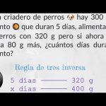 Reglas para alimentar a los cachorros