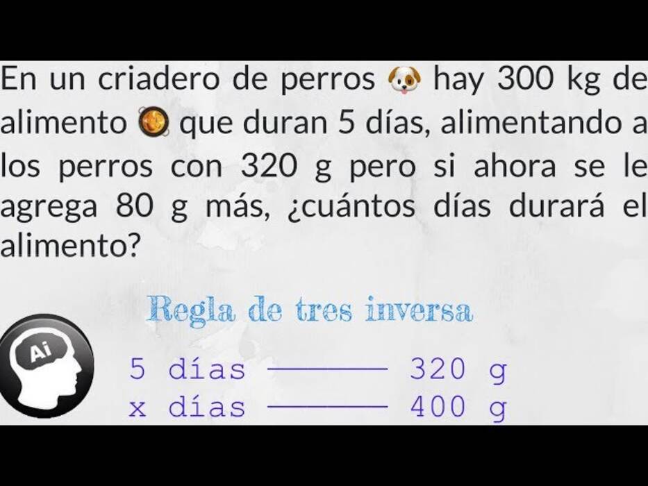 Reglas para alimentar a los cachorros